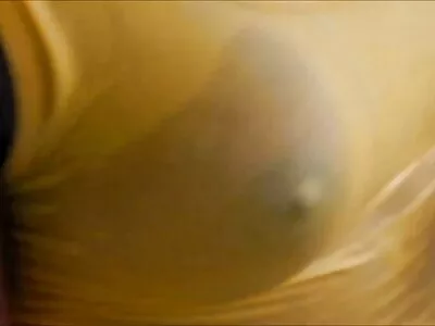 Rocco Siffredi seksiakadeemia – poorn seks vaadake seda filmi Internetis saidil Porn.FLV.