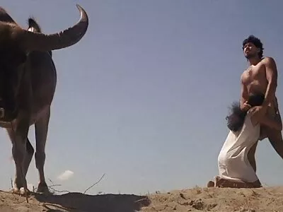 Creampie pornseksvideo (koost).